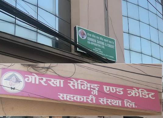 गोरखा सेभिङ एन्ड क्रेडिटका अध्यक्षसहित ४ जना पक्राउ,  ४ अर्ब बढी रकम हिनामिनाको आरोप