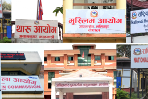 अध्यादेश जारी भएसंगै संवैधानिक नियुक्तिको बाटो खुल्यो, प्रधान न्यायाधीशसहित विभिन्न पदमा पदपूर्तिको तयारी