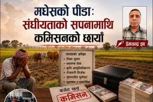 मधेसको पीडाः संघीयताको सपनामाथि कमिसनको छायाँ