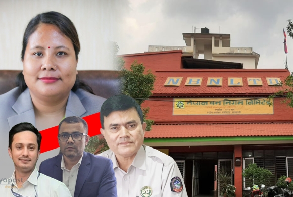 वन निगममा कानुन विपरीत करार नियुक्ति, कार्यालय सहयोगीलाई सुब्बाको सुविधा !