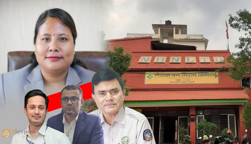 वन निगममा कानुन विपरीत करार नियुक्ति, कार्यालय सहयोगीलाई सुब्बाको सुविधा! बालेन सरकारले पनि दियो निरन्तरता
