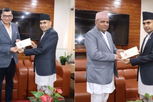 प्रेस काउन्सिल र दूरसञ्चार प्राधिकरणको नेतृत्वमा श्रेष्ठ र घिमिरे नियुक्त