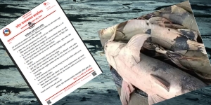 बाढीपछि स्वास्थ्य जोखिम बढ्दो, माछा तथा जलीय जीवको सेवन नगर्न  आग्रह