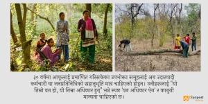 नजिकको पिंजडा: वन व्यवस्थापनको ‘स्थानीयकरण’ले मात्र समस्या किन सुल्झिँदैन?