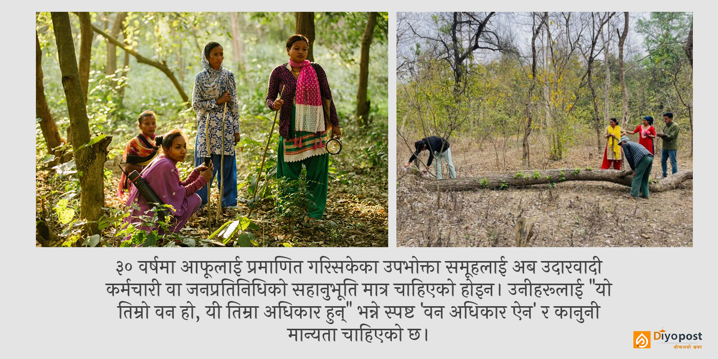 नजिकको पिंजडा: वन व्यवस्थापनको ‘स्थानीयकरण’ले मात्र समस्या किन सुल्झिँदैन?