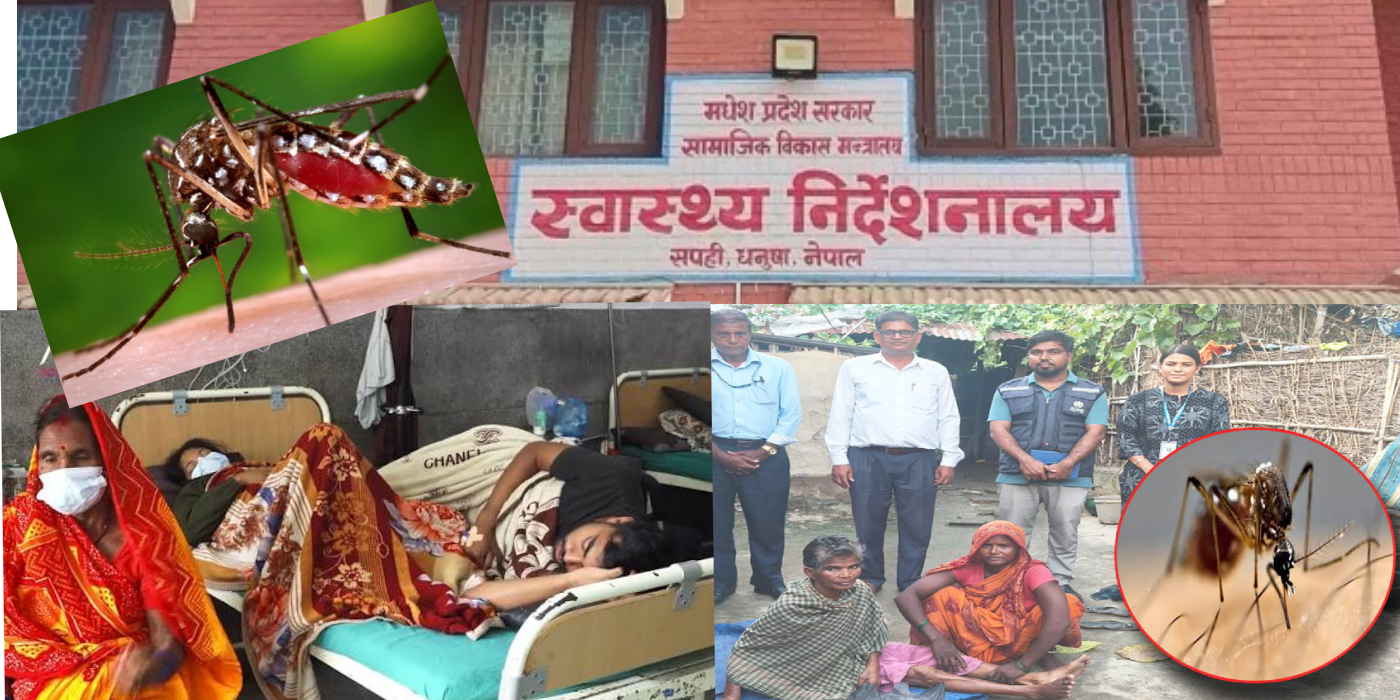 मधेशमा जापानीज इन्सेफ्लाइटिसको संक्रमण बढ्दो, १९ संक्रमितमध्ये ६ जनाको मृत्यु