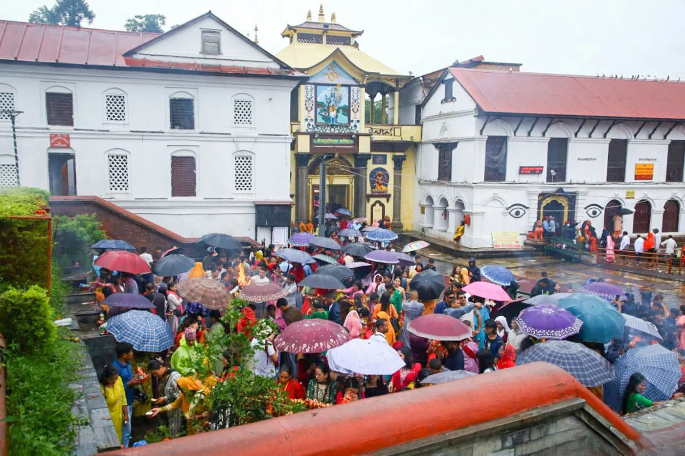 झरीमा पनि रोकिएन शिवभक्तिको आस्था, साउनको अन्तिम सोमबार पशुपतिनाथमा घुइँचो