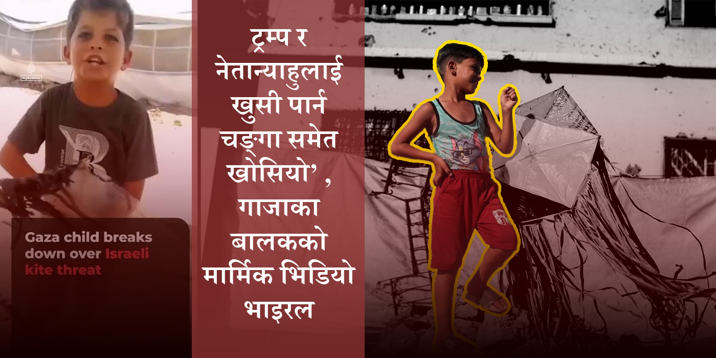 चङ्गा उडाउँदा समेत मारिन्छन् ‘प्यालेष्टाइनका बच्चा’ !