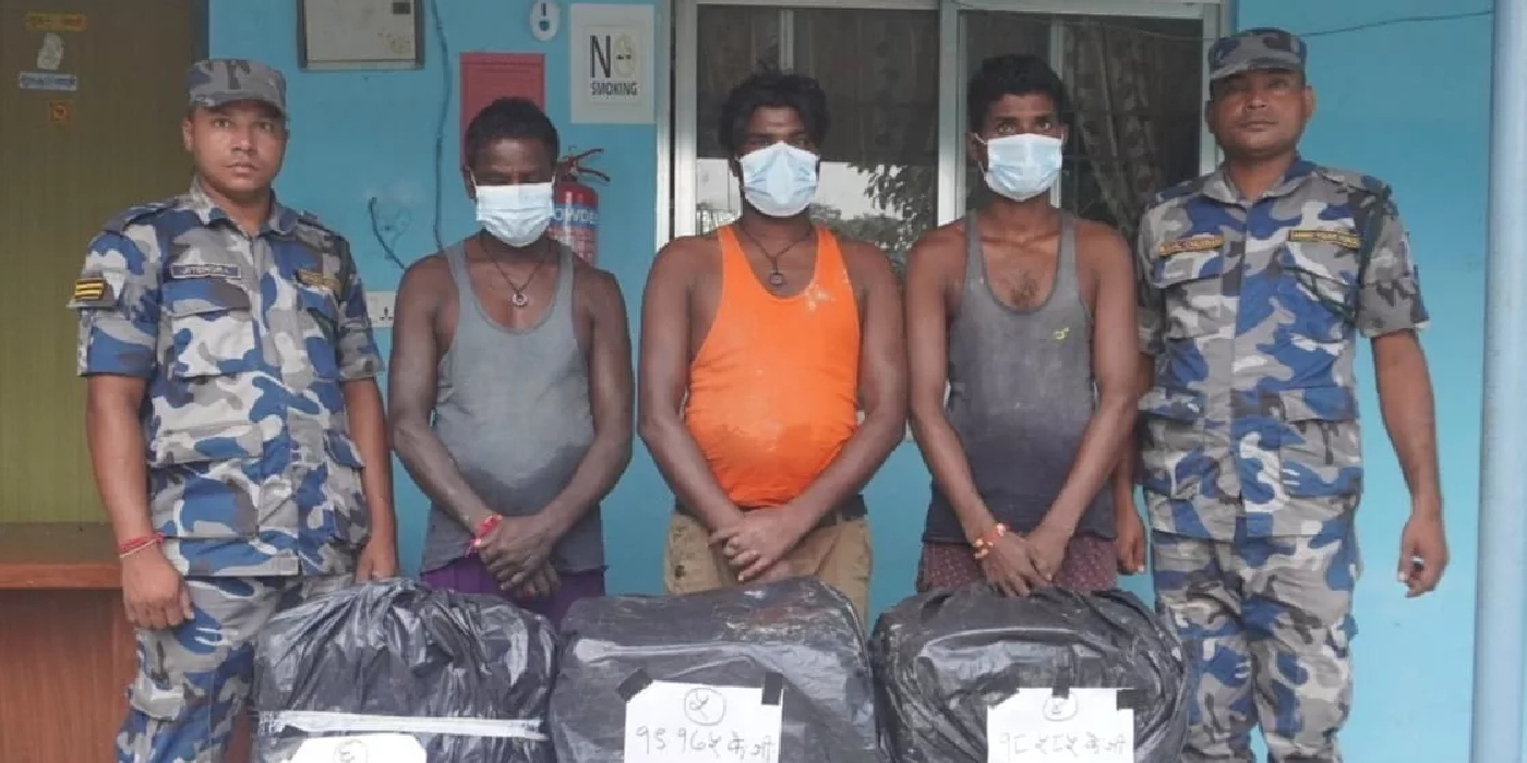 सिराहाको सीमावर्ती क्षेत्रबाट ११० किलो गाँजासहित तीन जना पक्राउ